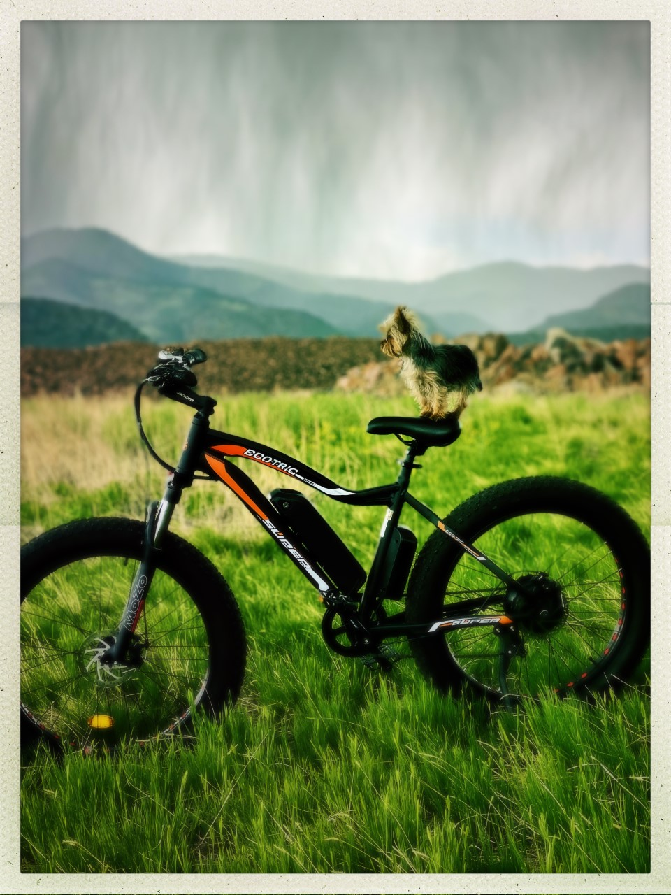ecotric seagull electric mountain bicycle 1000W Bike gravel and snow with 2.15 tires and 26 rims for maximum stability Ecotric Seagull Black Electric Mountain