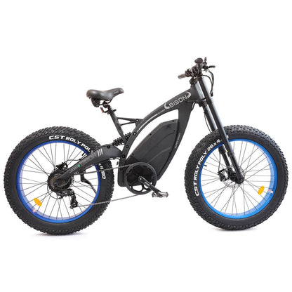 48v 17.6AH 1000W big fat tire ebike Bison-Matt Black - 5