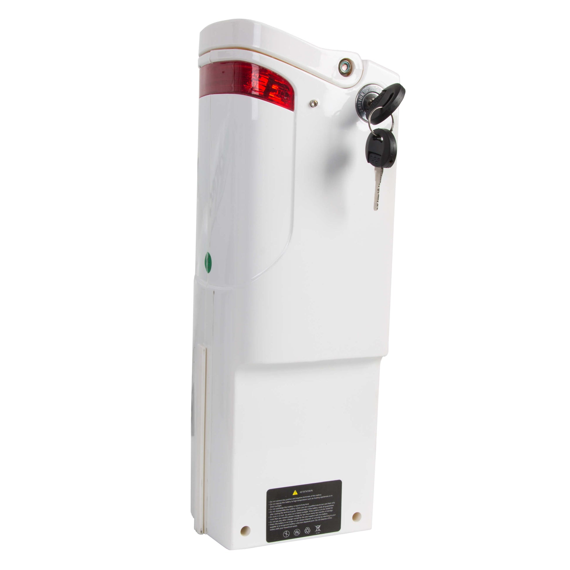 Replacement Battery for Seagull Ebike - 2